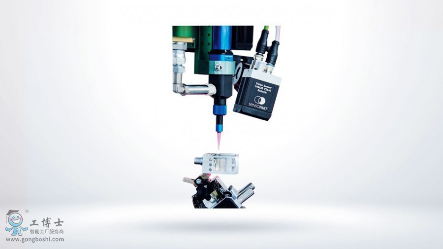 �����C����