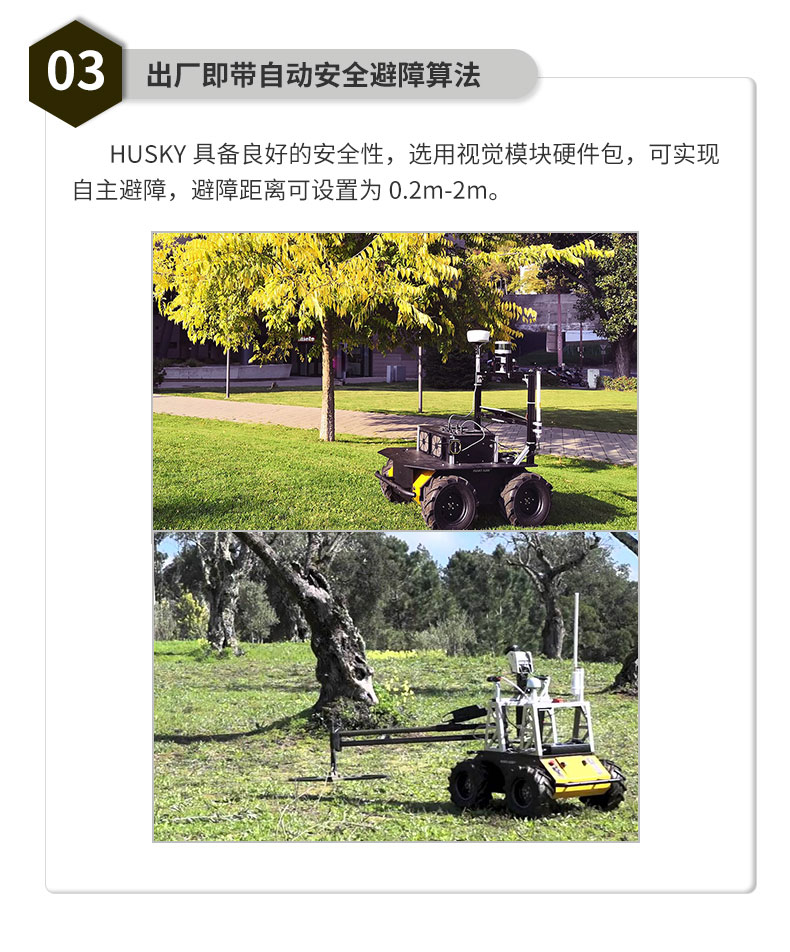 husky_07